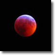Super Blood Wolf Moon Over Wantagh, Long Island - Photo by Melanie Schnaier