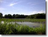 Mill Pond Preserve, www.Wantagh.LI, Copyright 2001 Long Island Dot
