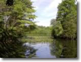 Twin Lakes Preserve, www.Wantagh.LI, Copyright 2001 Long Island Dot