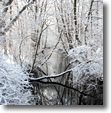 Winter view from the bridge at Mill Pond Park, Wantagh.  Photo by Karen Libby.