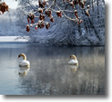 Wantagh's Twin Pond in Winter. Photo by Harry Loud