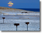 Jones Beach Supermoon from Filed 6, Photo by David Lepelstat