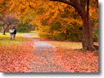 Lovers & Leaves, Wantagh, Long Island; Photo by Mike DiRenzo