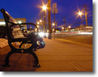 Wantagh Avenue in the Winter, Wantagh, Long Island; Photo by Joe Campbell