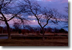 Moon rise over Wantagh Parkway at Wantagh Park, Photo by Erica Glatt