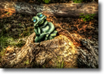 Frog on a Log in the woods by Southern Twin Lake, Wantagh, Photo by Vincent Ciro