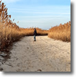 Jones Beach in Winter, Wantagh, Long Island - Photo by Santa Wilson