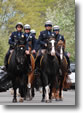 Horse Display on Demott - Photo by John Kelly