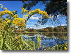 Late Summer Calm at Mill Pond - Photo by Patty Kelleher