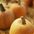 Wantagh Autumn 6